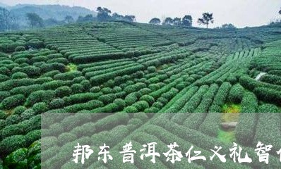 邦东普洱茶仁义礼智信/2023062325057