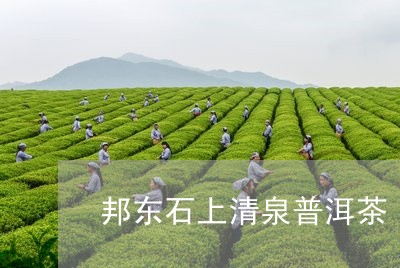 邦东石上清泉普洱茶/2023120590714