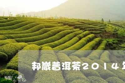 邦崴普洱茶2014年/2023062599381