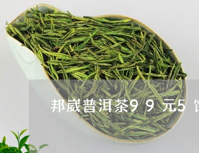 邦崴普洱茶99元5饼/2023072217179