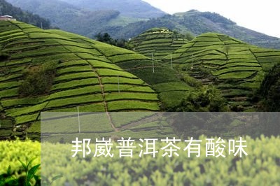 邦崴普洱茶有酸味/2023120472714