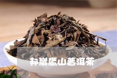 邦崴鹰山普洱茶/2023102620470