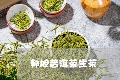 邦旭普洱茶生茶/2023101628506