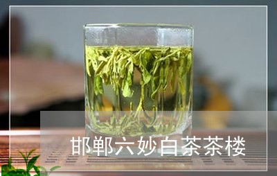 邯郸六妙白茶茶楼/2023071363817