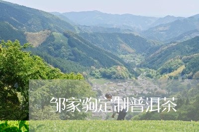 邹家驹定制普洱茶/2023120429281