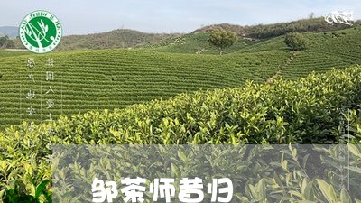 邹茶师昔归/2023041756652