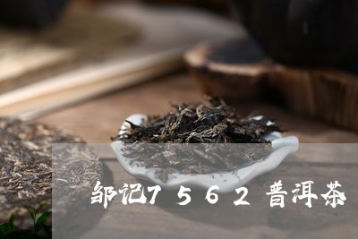 邹记7562普洱茶/2023091361424