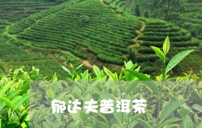 郁达夫普洱茶/2023042832236