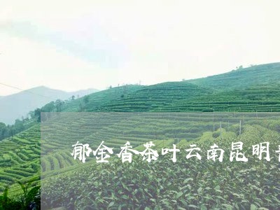 郁金香茶叶云南昆明普洱熟茶/2023052777037