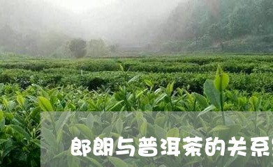 郎朗与普洱茶的关系是什么/2023110803726