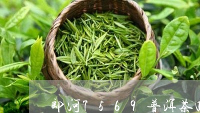 郎河7569普洱茶四方砖/2023082741515