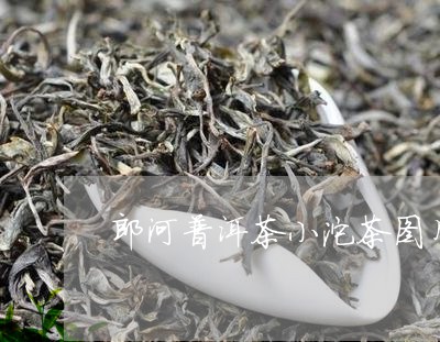 郎河普洱茶小沱茶图片/2023092812927