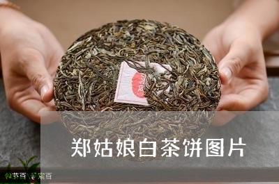 郑姑娘白茶饼图片/2023071369573