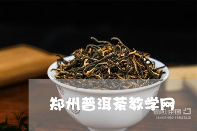 郑州普洱茶教学网/2023121815259