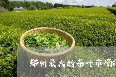 郑州最大的茶叶市场河南有什么茶/2023060138272