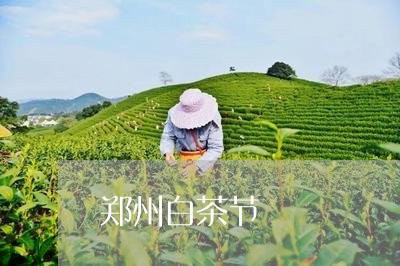 郑州白茶节/2023051141910