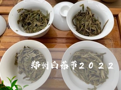 郑州白茶节2022/2023121559491