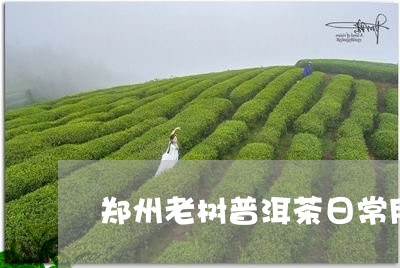 郑州老树普洱茶日常用法/2023110872927