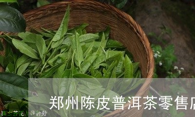 郑州陈皮普洱茶零售店地址/2023112537248