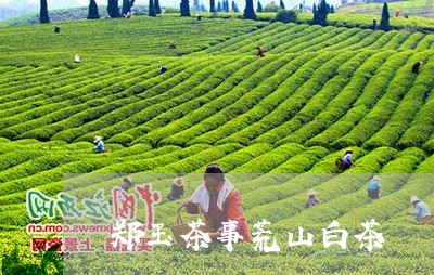 郑玉茶事荒山白茶/2023071176372