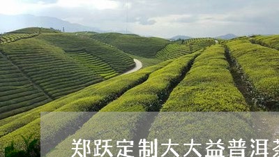 郑跃定制大大益普洱茶/2023062498171