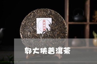 郭大侠普洱茶/2023042669999