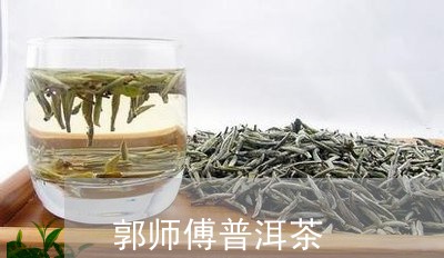 郭师傅普洱茶/2023042651583