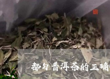 都匀普洱茶的正确吃法/2023100736159