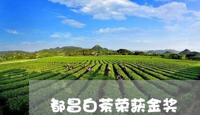 都昌白茶荣获金奖/2023071129585