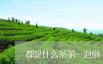 都是什么茶第一泡倒槕/2023071408282