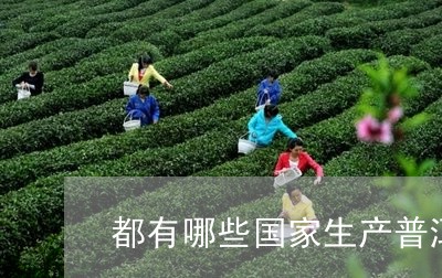 都有哪些国家生产普洱茶/2023110848594