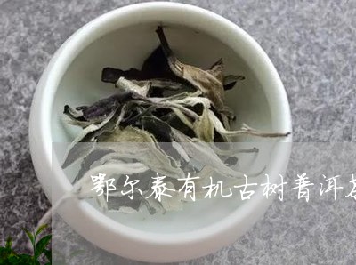 鄂尔泰有机古树普洱茶/2023092748481