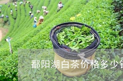 鄱阳湖白茶价格多少钱一吨/2023042808702