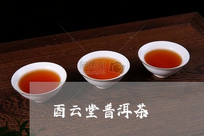 酉云堂普洱茶/2023042789236