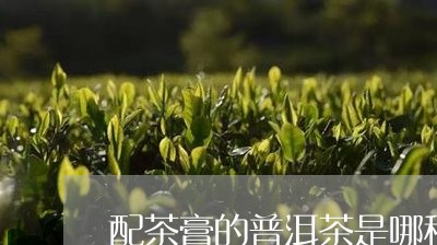 配茶膏的普洱茶是哪种的/2023121894824