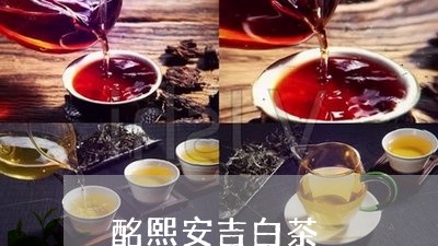 酩熙安吉白茶/2023052386149