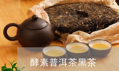 酵素普洱茶黑茶/2023091460526