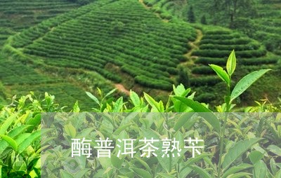 酶普洱茶熟苄/2023042516257