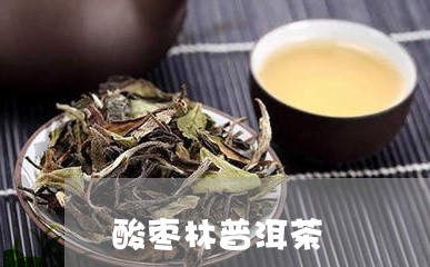 酸枣林普洱茶/2023042747676