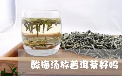 酸梅汤放普洱茶好吗/2023101783817