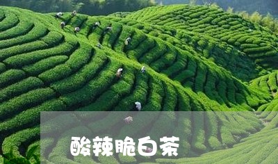 酸辣脆白茶/2023051169806