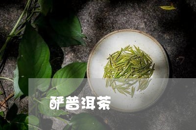 酽普洱茶/2023083144139