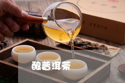 酿普洱茶/2023090164916