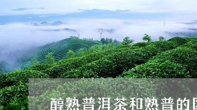 醇熟普洱茶和熟普的区别/2023082592693