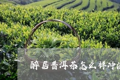 醉居普洱茶怎么样冲泡/2023082802058