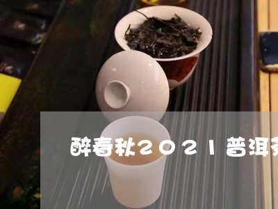 醉春秋2021普洱茶/2023120613715