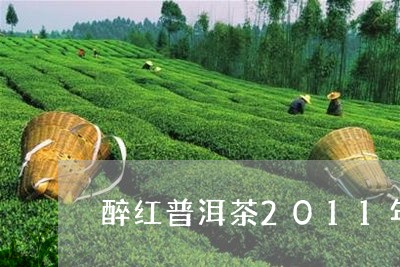 醉红普洱茶2011年/2023100692605