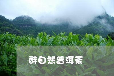 醉自然普洱茶/2023042871642