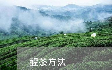 醒茶方法/2023090115827