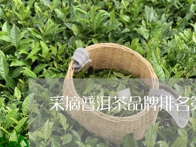 采摘普洱茶品牌排名第一/2023121873525